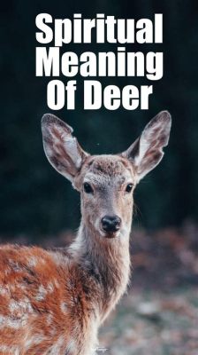  “The Deer Spirit” -  A Story of Transformation and Ancient Wisdom?